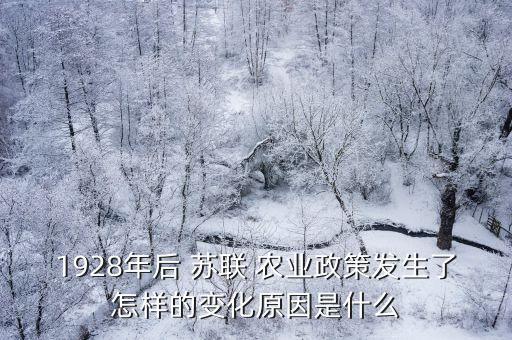 1928年后 苏联 农业政策发生了怎样的变化原因是什么