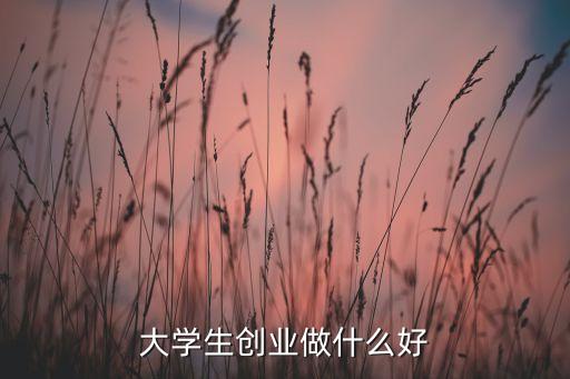 大学生创业做什么好