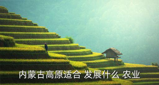 内蒙古高原适合 发展什么 农业