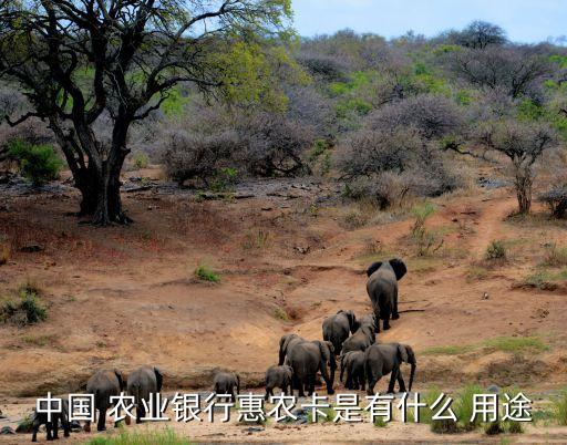 中国 农业银行惠农卡是有什么 用途