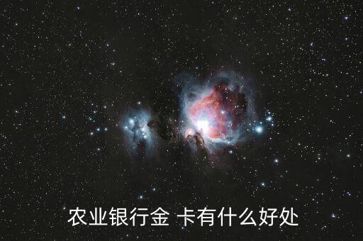  农业银行金 卡有什么好处