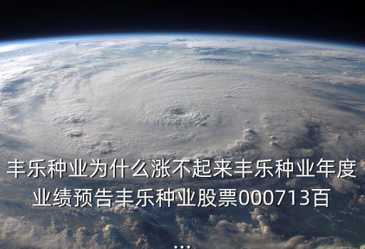 丰乐种业为什么涨不起来丰乐种业年度业绩预告丰乐种业股票000713百...