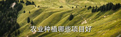  农业种植哪些项目好