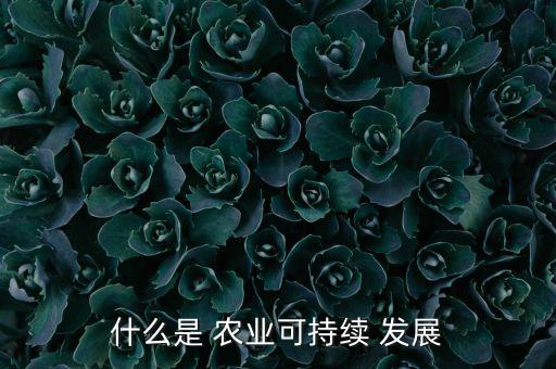 什么是 农业可持续 发展