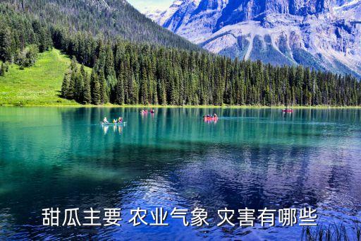 农业有什么灾害,农业气象学灾害是不利天气条件造成的农业灾害