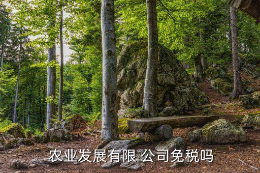  农业发展有限 公司免税吗