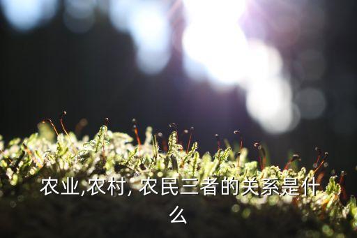  农业,农村, 农民三者的关系是什么