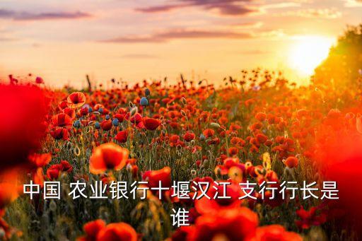 中国 农业银行十堰汉江 支行行长是谁