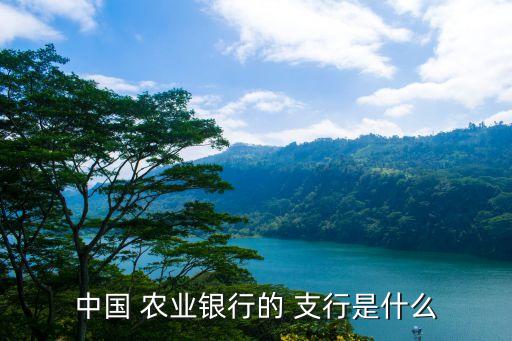 塘峡村部农业银行什么支行,中国农业银行微微信账号如何使用?