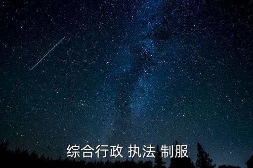  综合行政 执法 制服