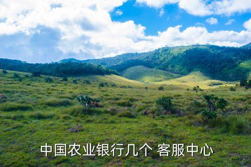  中国农业银行几个 客服中心