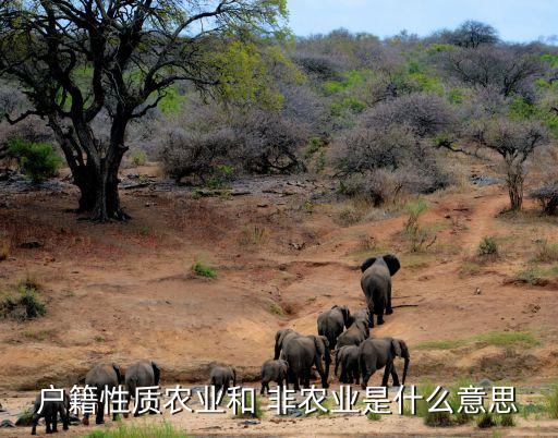 户籍性质农业和 非农业是什么意思