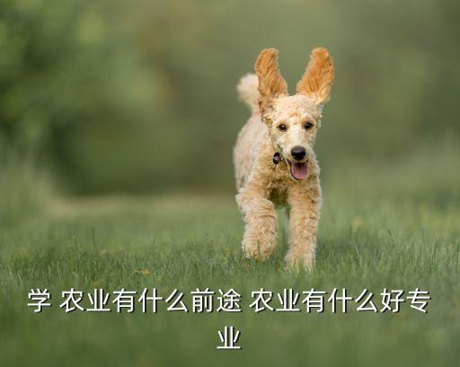 农业什么领域好干,农业行业待遇普遍偏低农业发展趋势多元化