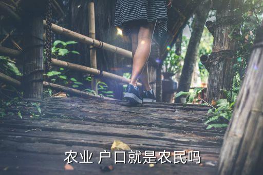  农业 户口就是农民吗