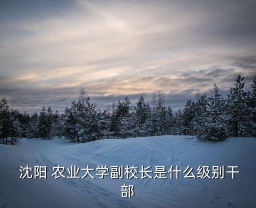  沈阳 农业大学副校长是什么级别干部