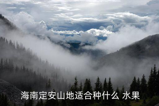  海南定安山地适合种什么 水果