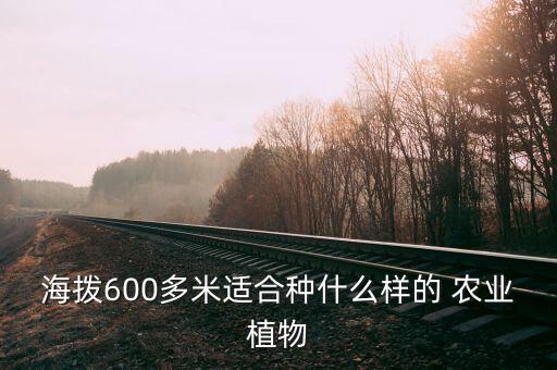 海拨600多米适合种什么样的 农业植物