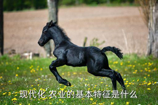 农业什么样子,农业机械化要与新型工业化道路相适应