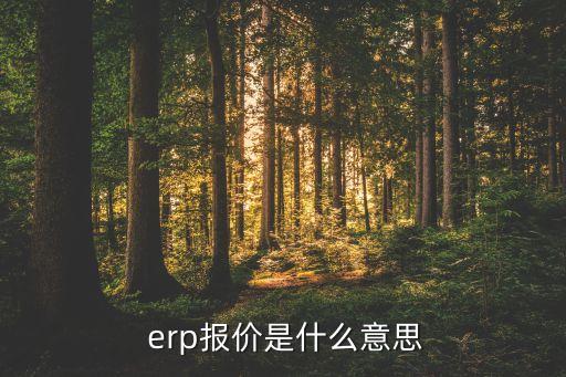  erp报价是什么意思