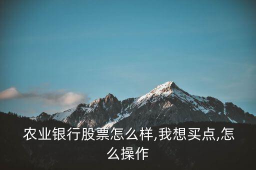  农业银行股票怎么样,我想买点,怎么操作