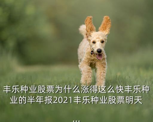 丰乐种业股票为什么涨得这么快丰乐种业的半年报2021丰乐种业股票明天...