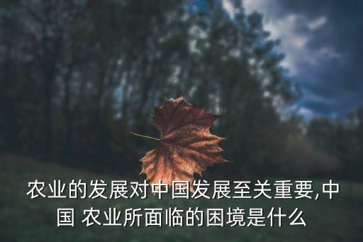 中国缺什么农业资源,中国适合种植粮食人们不想工作了