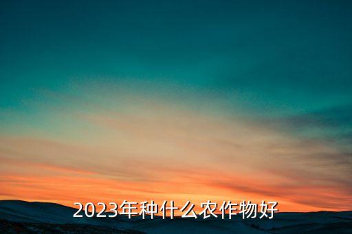 2023年种什么农作物好