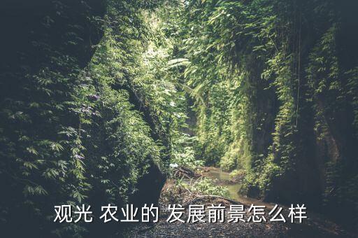  观光 农业的 发展前景怎么样