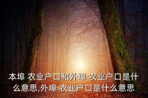 什么叫省内农业和省外农业,中国社会保障制度有哪些?