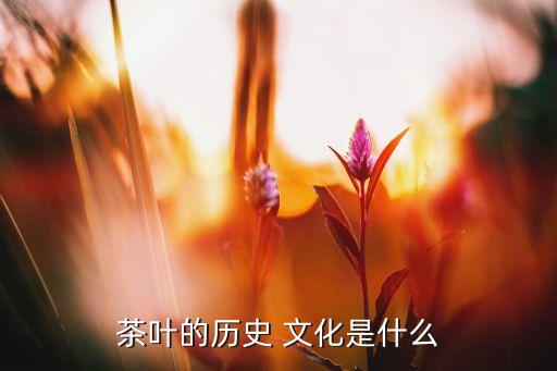 茶叶的历史 文化是什么