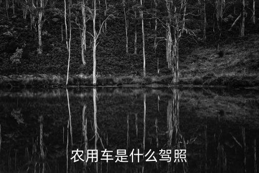 农用车是什么驾照