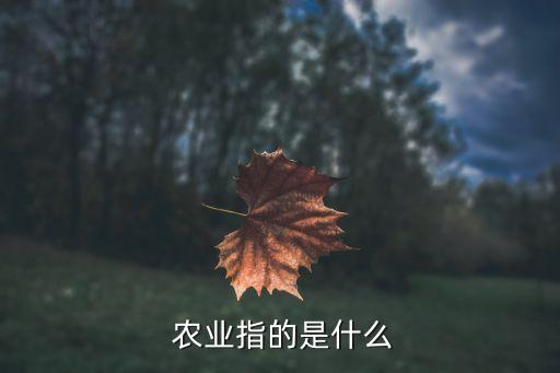  农业指的是什么