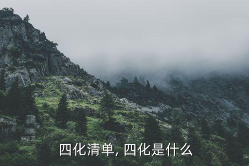  四化清单, 四化是什么