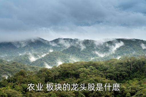  农业 板块的龙头股是什麽