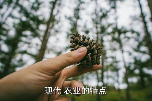 现代 农业的特点