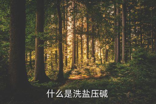 什么是洗盐压碱