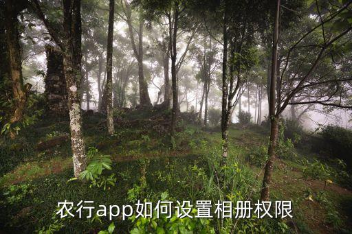 农业银行授权管理什么意思,中国农业银行app如何解绑?