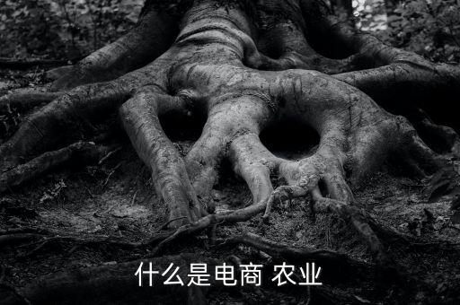 什么是电商 农业