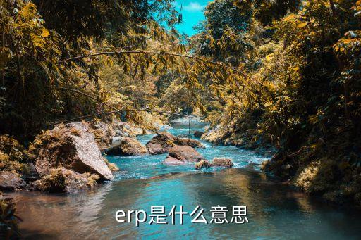  erp是什么意思