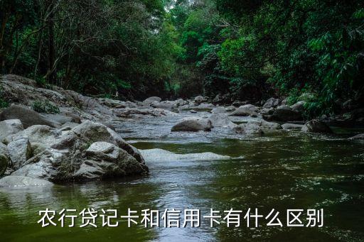 农业银行准贷卡是什么卡,creditcard又叫信用卡；