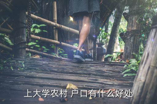 上大学农村 户口有什么好处