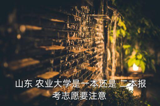  山东 农业大学是一本还是 二本报考志愿要注意