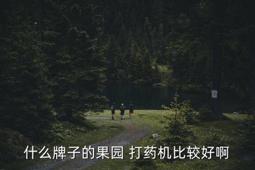 农业打药机什么牌子好,自走式果园打药机适用于中小型果园