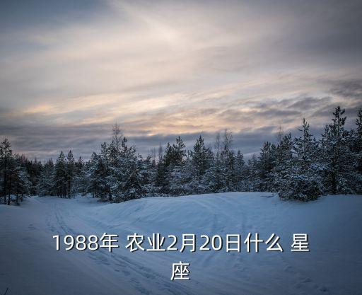 1988年 农业2月20日什么 星座