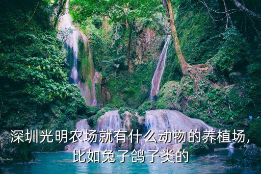 滑车在农业里是什么,深圳光明农场有什么好吃的?