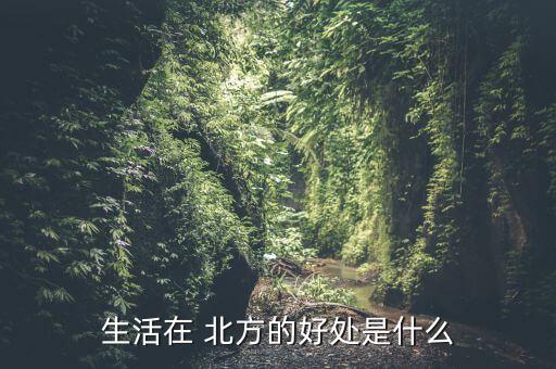 生活在 北方的好处是什么