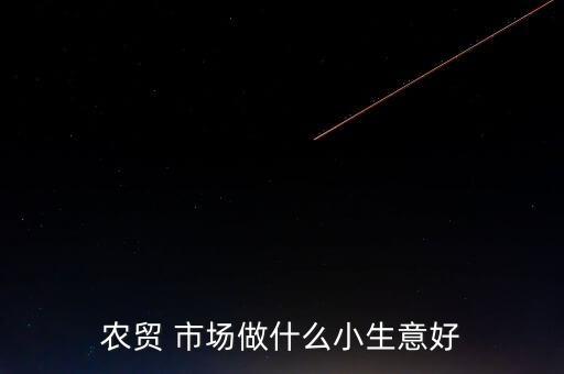 农贸 市场做什么小生意好