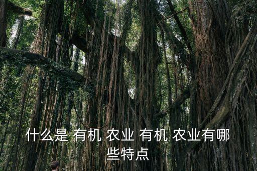 什么是 有机 农业 有机 农业有哪些特点