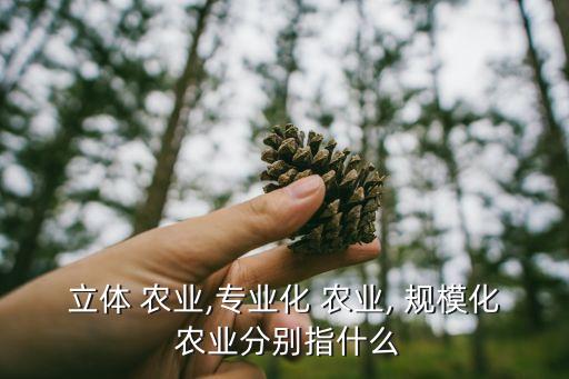 立体 农业,专业化 农业, 规模化 农业分别指什么