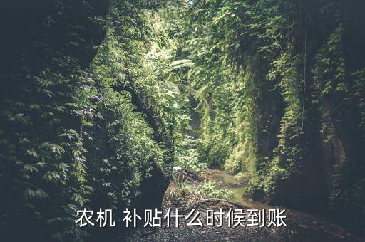农机 补贴什么时候到账